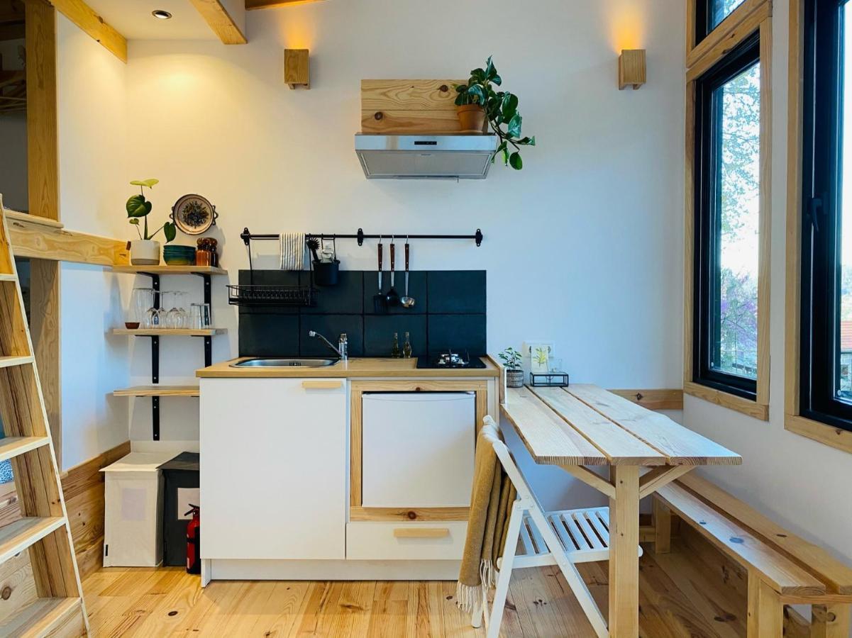 Land Of Deveza - Tiny Houses São Pedro do Sul Exterior foto