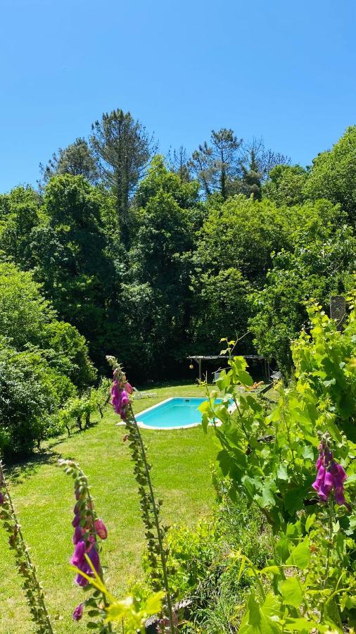 Land Of Deveza - Tiny Houses São Pedro do Sul Exterior foto